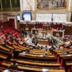 Un député accuse d’ex-dirigeants des crèches People&Baby de malversations